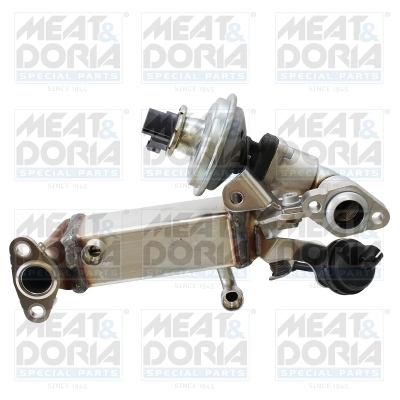 EGR Module